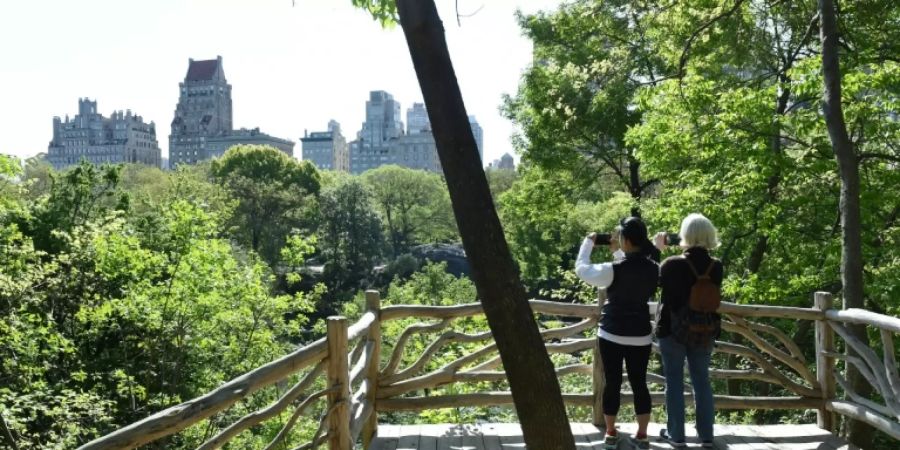 Besucher im Central Park von New York