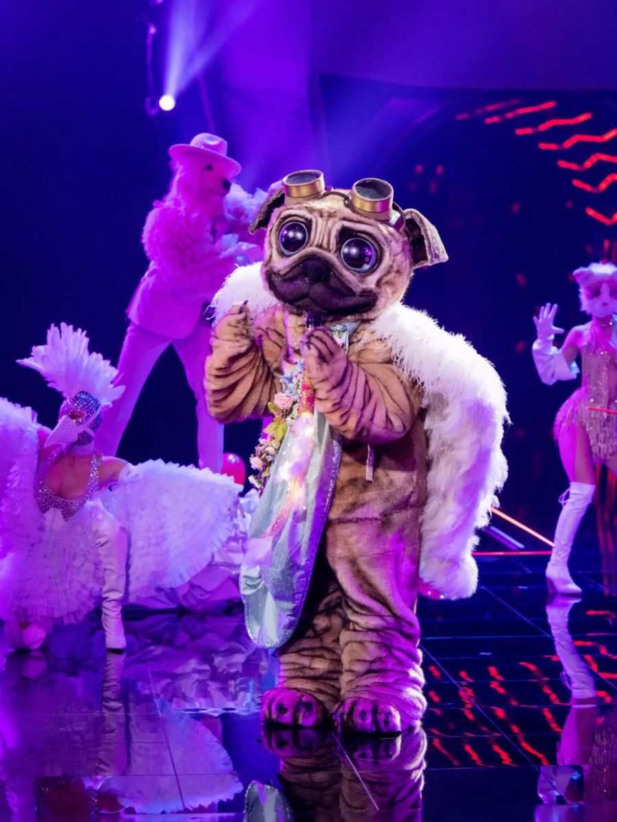 Die Figur «Mops» bei «The Masked Singer Germany».