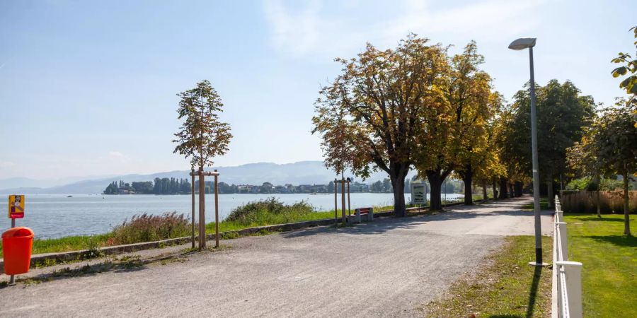 Seepromenade mit Aussicht auf Arbon.