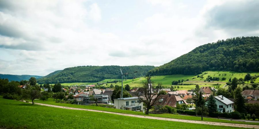 Blick auf Wittnau.