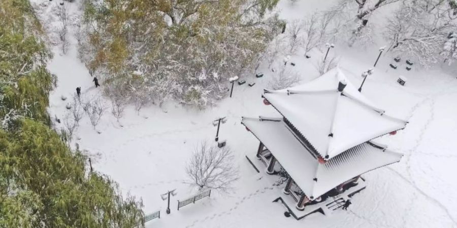 Ein seit Sonntag anhaltender Schneesturm hat in Shenyang Rekordschneefälle gebracht, die stärksten seit 1905. Foto: Yang Qing/XinHua/dpa