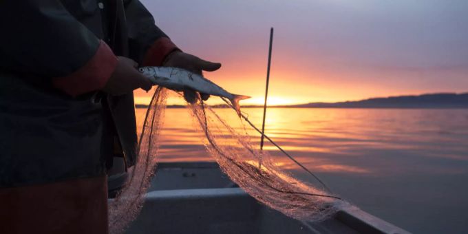 Man könne Zehnjährigen, die die Prüfung absolviert hätten, das selbständige Fischen zutrauen, war die überwiegende Meinung des Rates. fischen