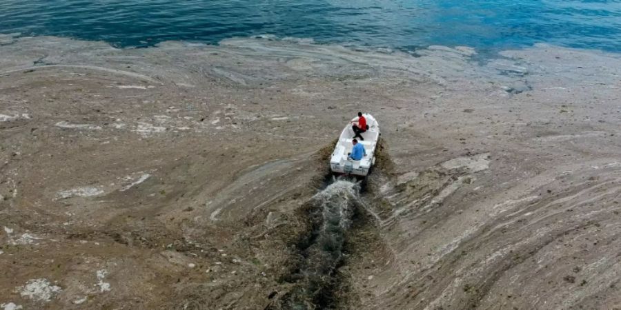Vast patches of 'sea snot' mucilage on Turkey's coastline this summer put the spotlight on caring for the Mediterranean