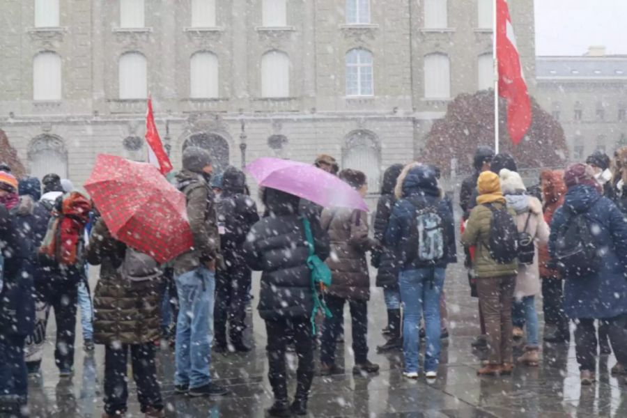 Im Schneetreiben protestiert ein Skeptiker-Grüppchen gegen das Abstimmungsresultat.