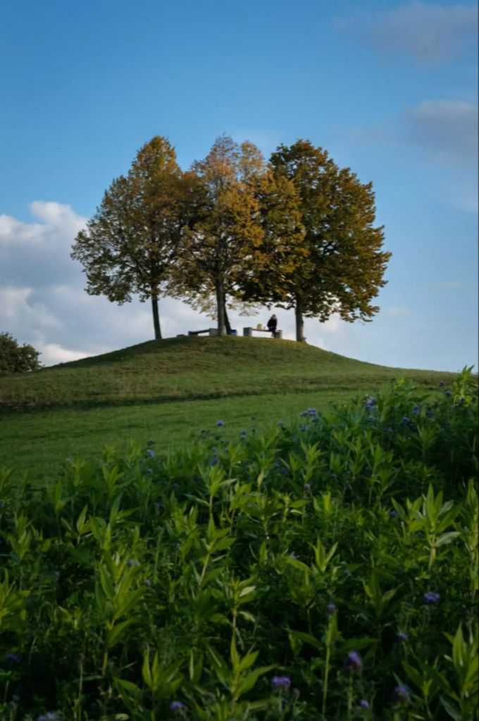 Die Blätter sind farbtechnisch noch nicht ganz im Herbst angekommen, aber auf bestem Weg dazu. Dübendorf