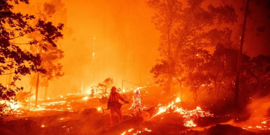 In Kalifornien wüten zahlreiche Waldbrände