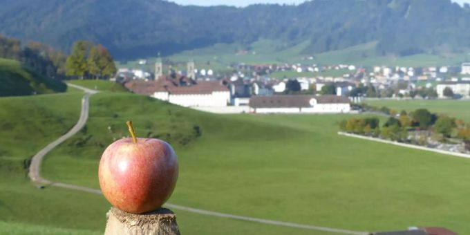 Der Apfel als Logo des Herbschfäschts. Herbschtfäscht