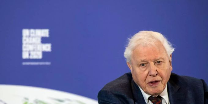Brüssel - Neu entdeckte Gottesanbeterin nach britischem Tierfilmer Attenborough benannt