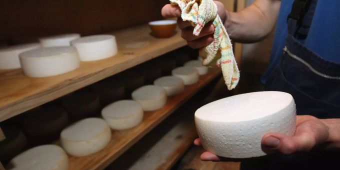 Schweizer Ziegenkäse wird zum aufstrebenden Nischenmarkt. Ziegenkäse