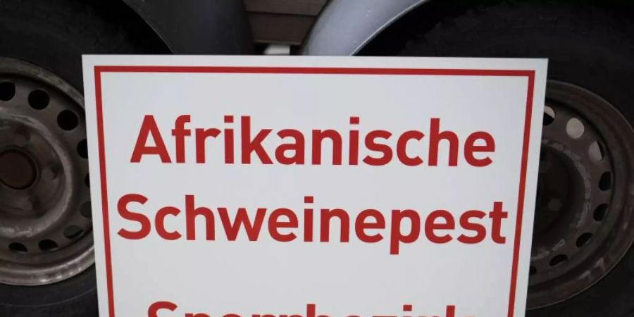 Ein Schild mit der Aufschrift «Afrikanische Schweinepest - Sperrbezirk» steht in einem Zentrallager für Tierseuchenbekämpfungsmaterial (Archiv). Die ASP hat Deutschland erreicht. Foto: Frank Rumpenhorst/dpa
