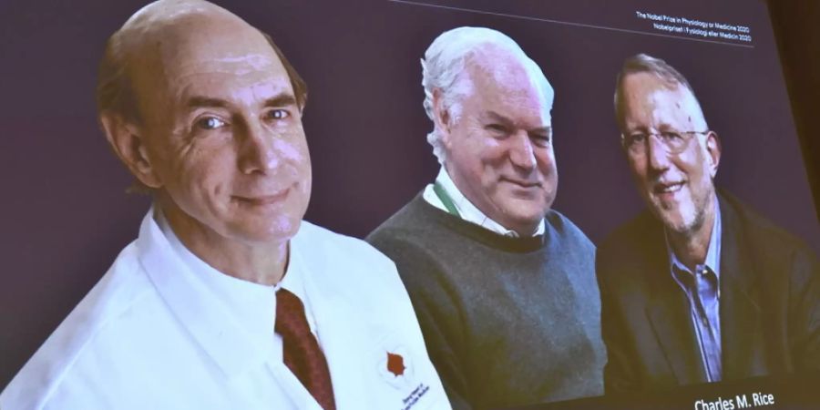 V.l.n.r. Harvey J. Alter, Michael Houghton und Charles M. Rice, die drei diesjährigen Nobel-Preisträger für Medizin, die für die Entdeckung des Hepatitis-C-Virus' ausgezeichnet werden. Die Verkündigung fand heuer wegen Corona ohne Publikum statt.