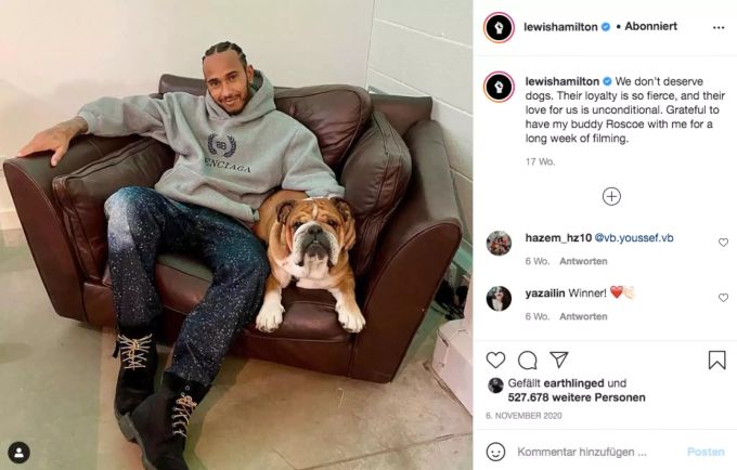 Auch Lewis Hamiltons Hund frisst vegan. Lewis Hamilton