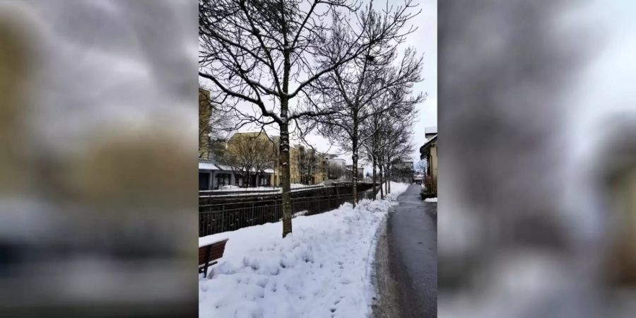 Ufer-Bereich an der Jonastrasse.