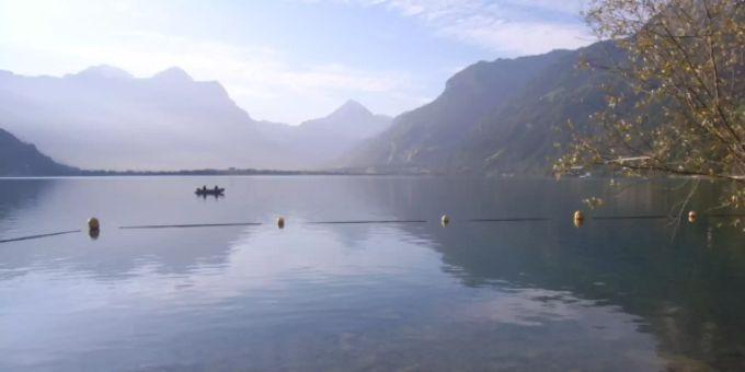 Die Tage werden länger, die Temperaturen steigen und das Wetter wird bald schon wieder an und auf den See locken.