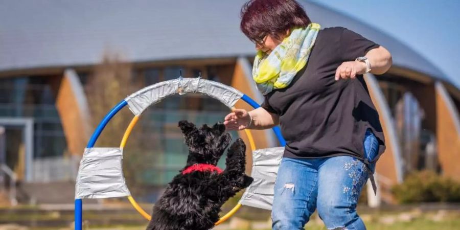 Jutta Gassmann unternimmt mit ihrem Hund Gil der Rasse American Cocker Spaniel einen Weltrekordversuch im Reifensprung. Foto: Moritz Frankenberg/dpa