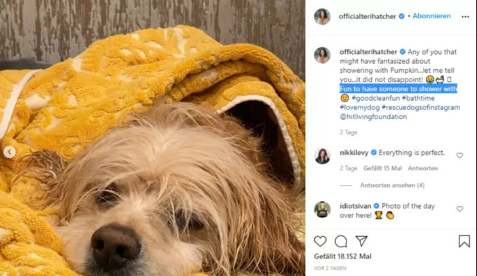 Hund Pumpkin trocknet sich nach der Dusche mit Teri Hatcher, Teri Hatcher