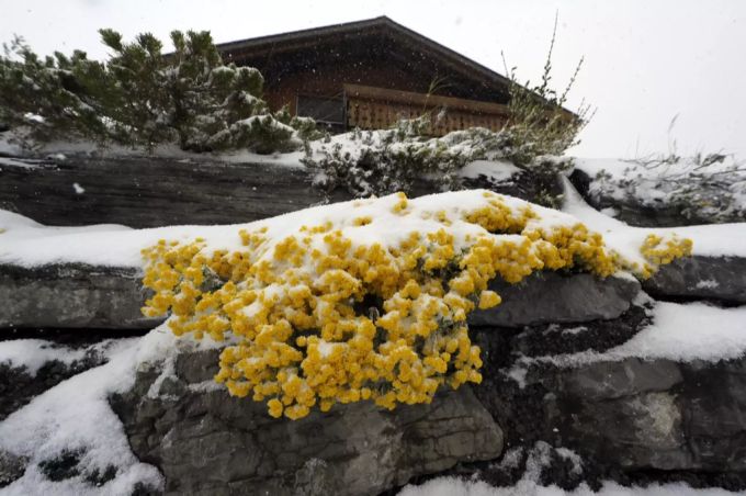 Schnee im Frühling ist keine Seltenheit. schnee frühling wetter