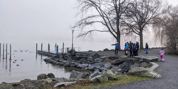 WildWuchs ist im Bezirk Küssnacht gut gestartet: Am 16. Januar konnten im ganzen Küssnachtersee nicht weniger als 2500 Wasservögel notiert werden. WildWuchs in Küssnacht