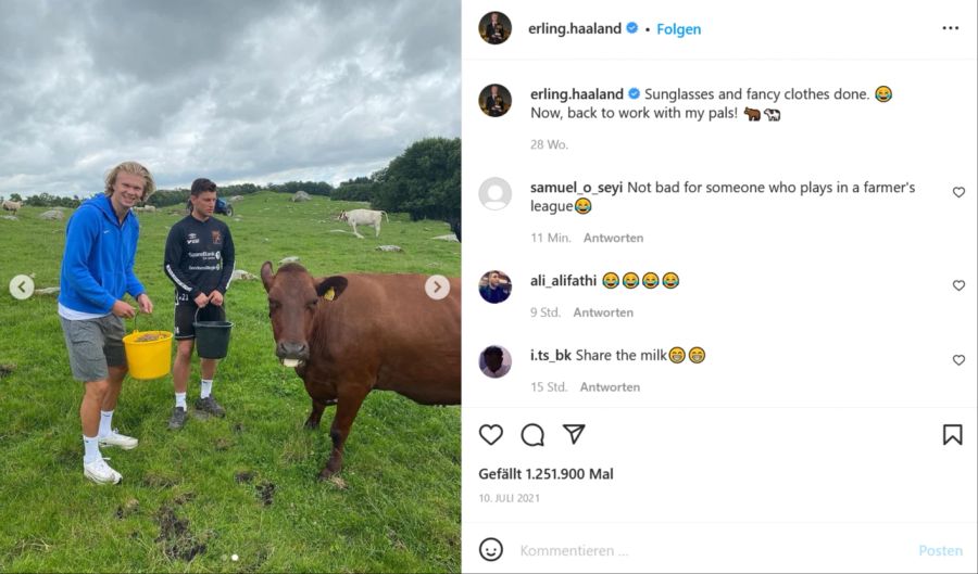 Nach der Karriere sieht sich Erling Haaland auf einer Farm in seiner norwegischen Heimat.