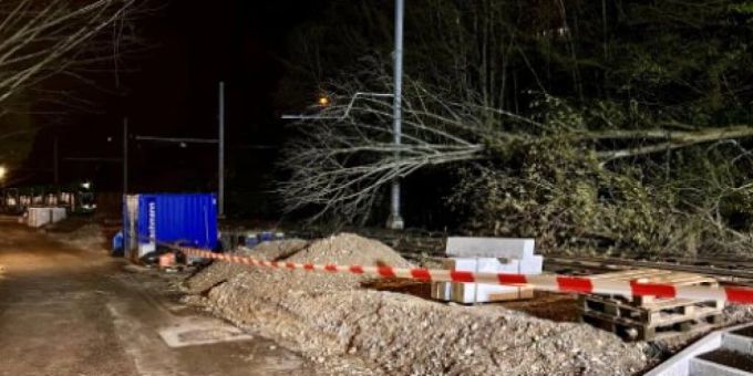 Der Sturm riss die Fahrleitung zu Boden. Der Tramverkehr durch die Wolfschlucht in Basel ist bis auf weiteres unterbrochen. baum