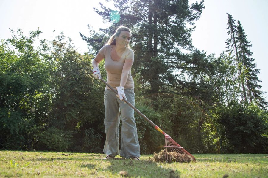 Frau Harke Rasen Garten