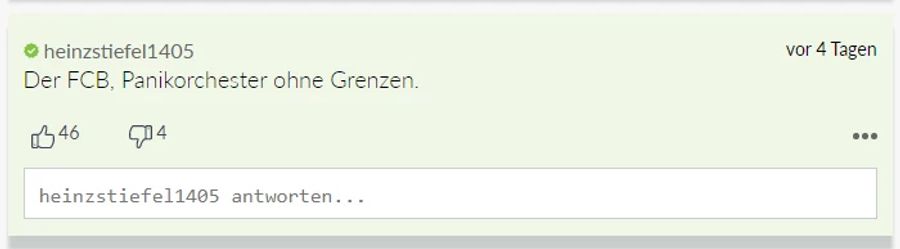 Auch heinzstiefel1405 ist nicht begeistert.