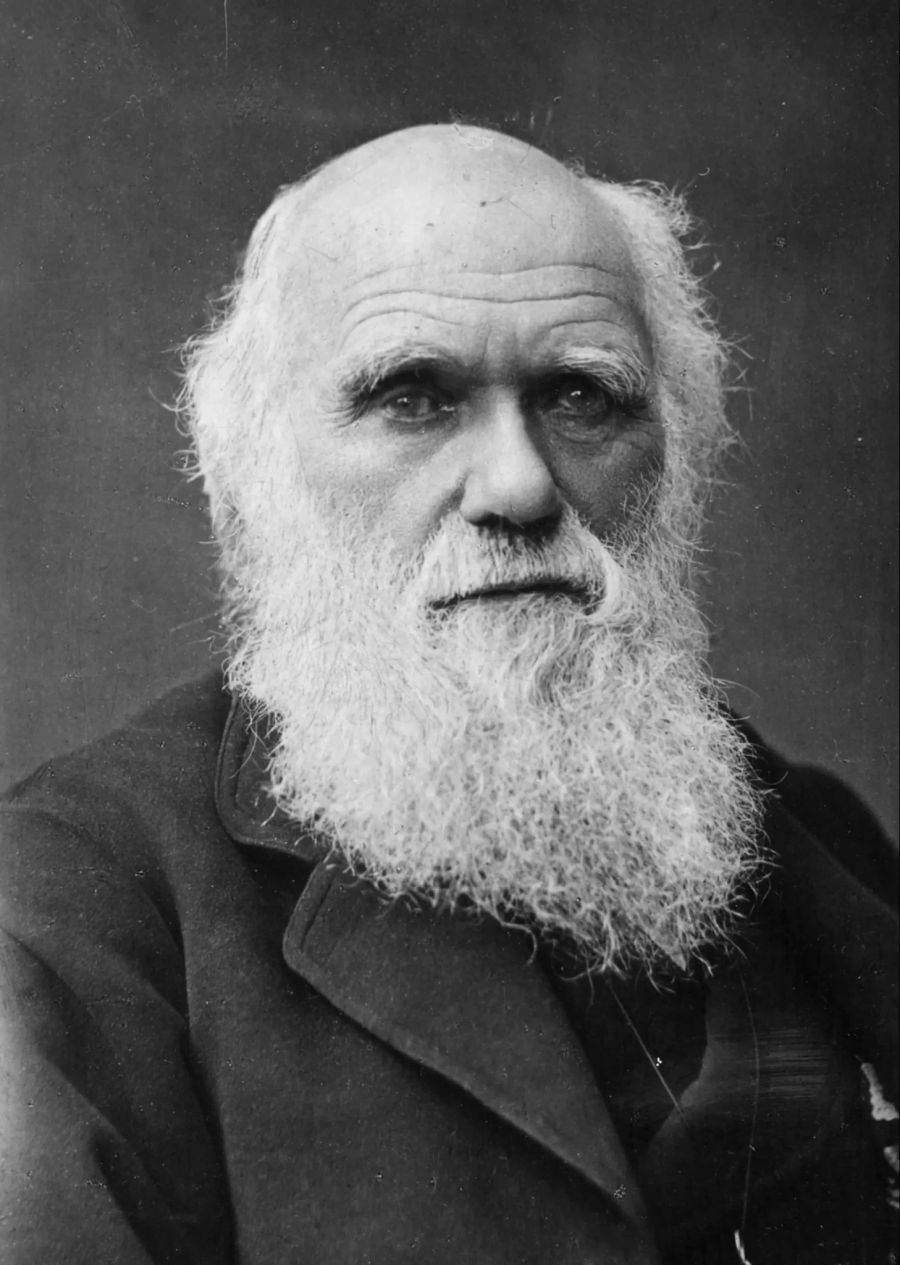 Darwin-Notizbücher
