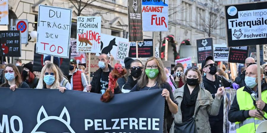 Demonstration Pelz