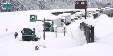 Japan Schnee