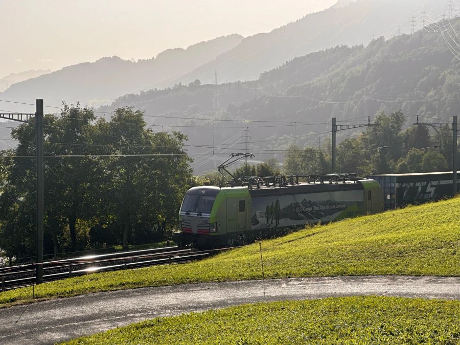 Die SBB bestätigt den Vorfall auf Anfrage.