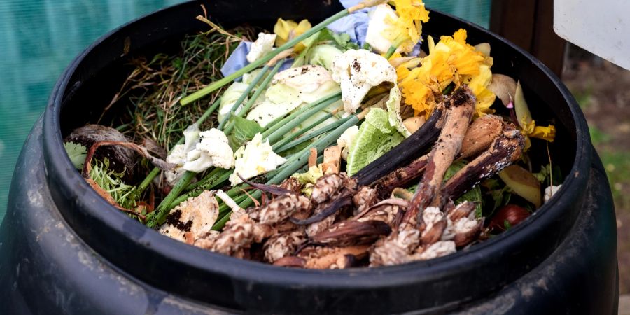 Kompost in Komposttonne