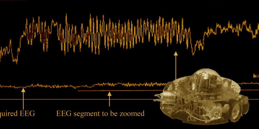 EEG Aufzeichnung Roboter