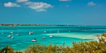 Blaues Meer mit vielen Segelbooten.