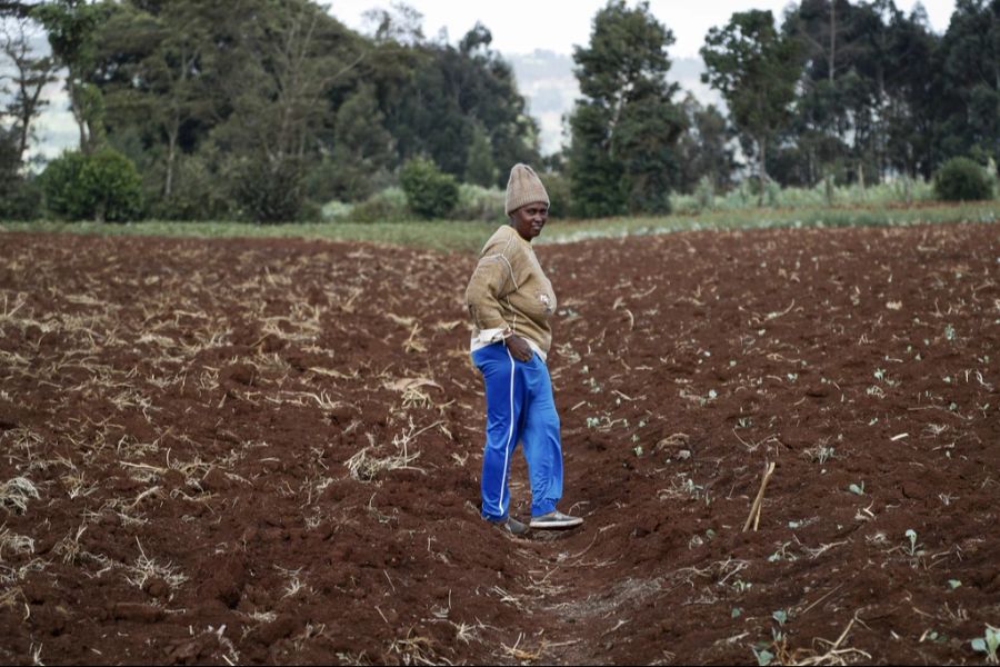 Dies soll «aus gewöhnlichen Bauern erfolgreiche Geschäftsleute» machen, sagt Catherine Ndumbi, Leiterin Agrarserviceabteilung der Syngenta-Stiftung in Nairobi.