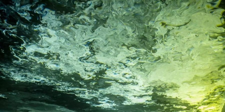 Der dänisch-isländische Künstler Olafur Eliasson zeigt im Kunsthaus Zürich exklusiv die Lichtinstallation «Symbiotic seeing». Die Ausstellung dauert vom 17. Januar bis 22. März.