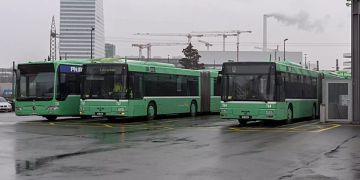 Busse
