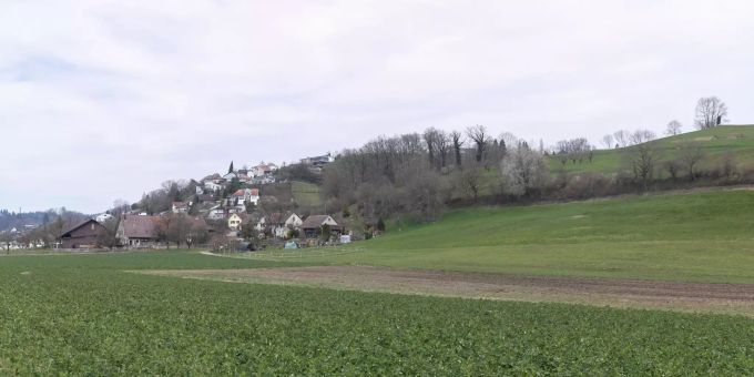 Seengen Landschaft Einfahrt von Egliswil - Seengen Seengen Landschaft Einfahrt von Egliswil - Seengen