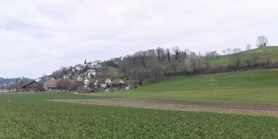 Einfahrtsstrasse der Gemeinde Seengen.