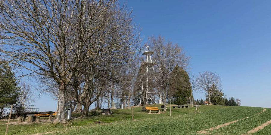 Der Hombergturm in Reinach (AG).