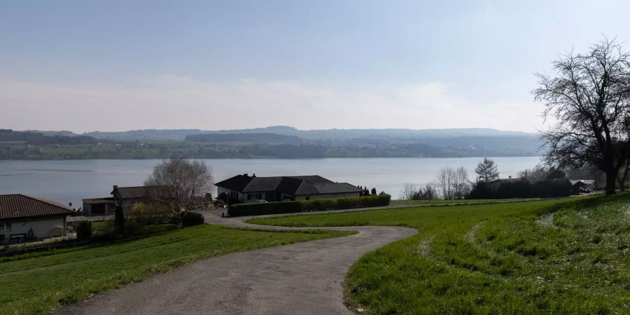 Blick auf den Hallwilersee bei Boniswil (AG).