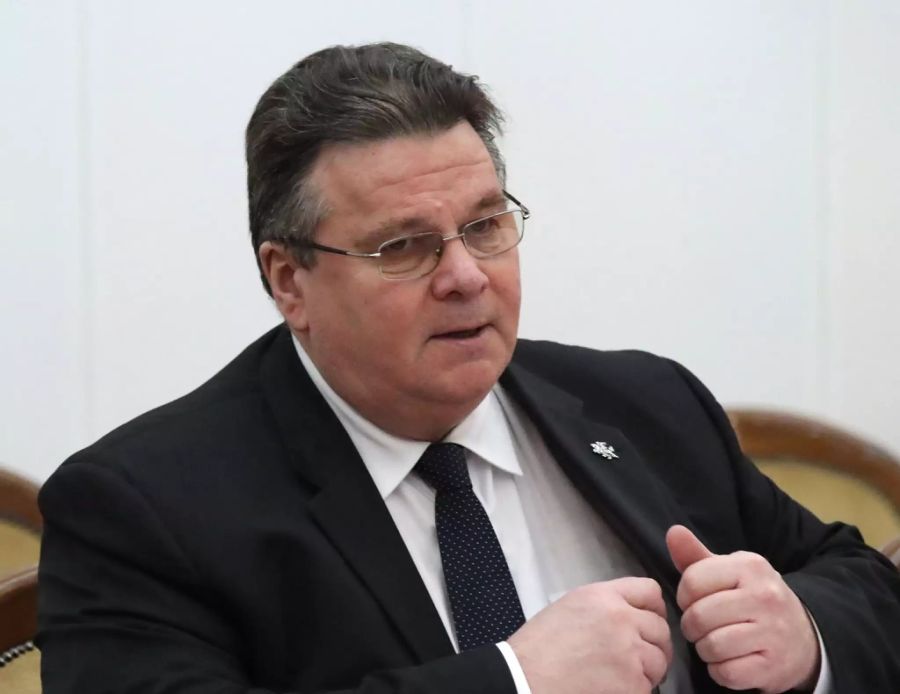 Linas Linkevicius litauen