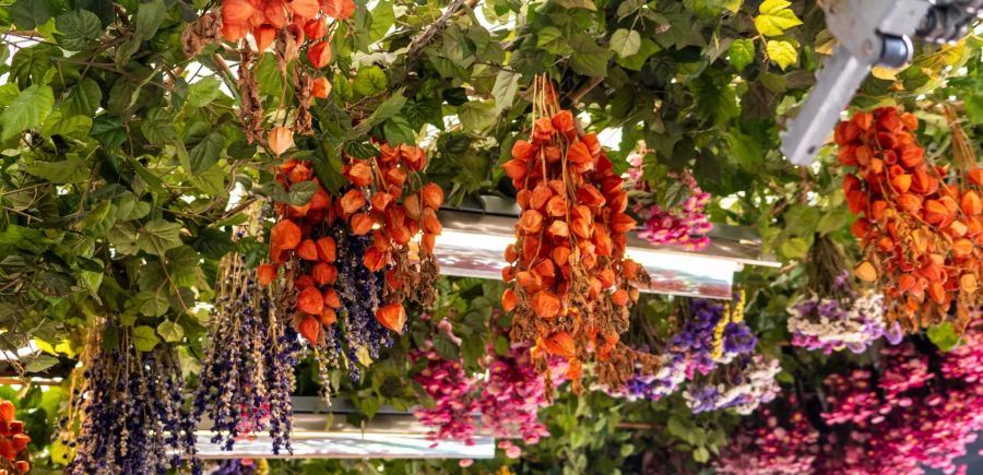 blumenmarkt