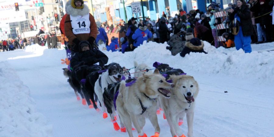 Titelverteidiger Brent Sass beim feierlichen Start in der Innenstadt von Anchorage.