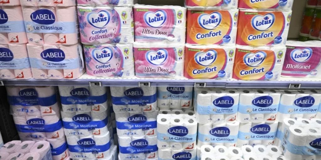 Studie Toilettenpapier trägt zur Umweltbelastung mit «ewigen