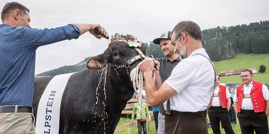 Die beiden Paten Thomas Sutter und Martin Hersche taufen Siegermuni «Alpstein».
