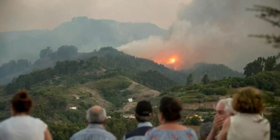 Waldbrand auf der Kanareninsel Gran Canaria