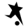 FC Black Stars Logo