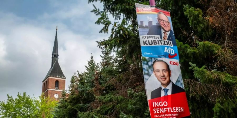 Wahlplakate im brandenburgischen Heinersbrück