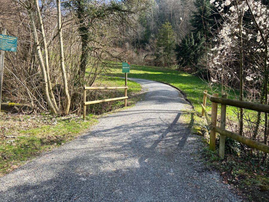 Der rutschige Weg mündet in Stallikon ZH in den Hofstetterweidweg. Finanziert sind solche Wanderwege über den Strassenfond.