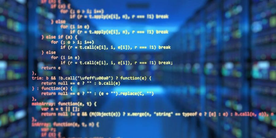 Hintertür Software